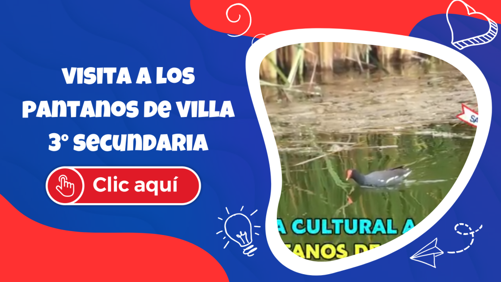 visita pantanos de villa